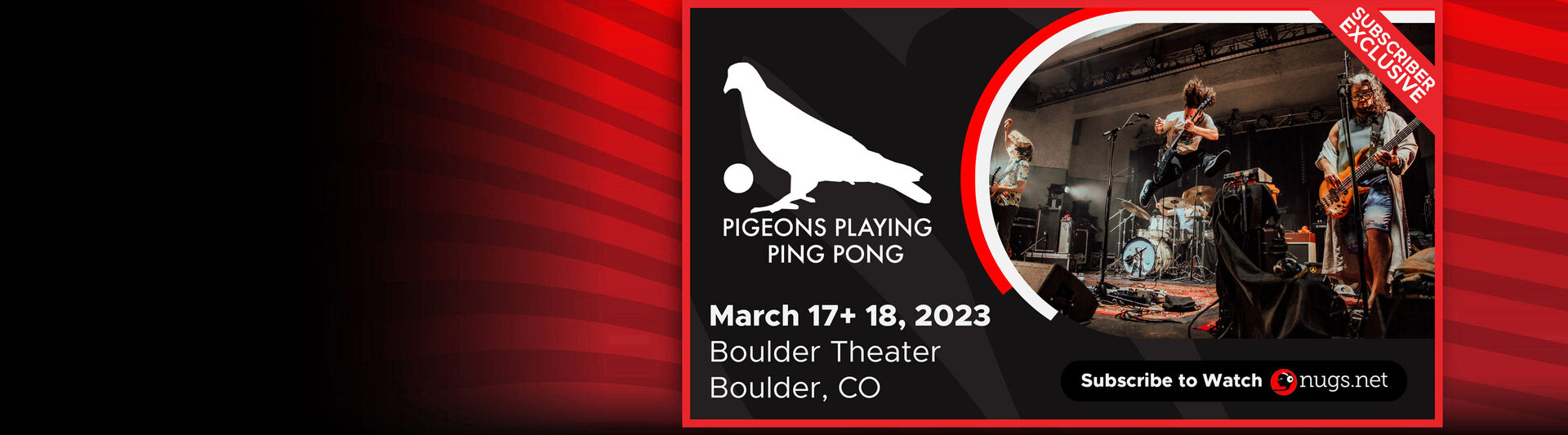 Pigeons Playing Ping Pong
