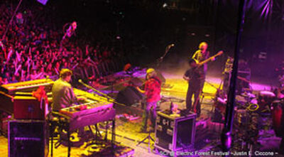 06/28/13 Electric Forest, Rothbury, MI 