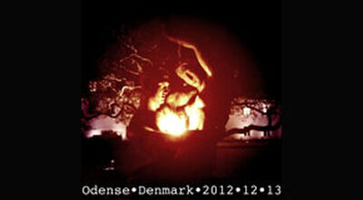 12/13/12 Posten, Odense, DK 