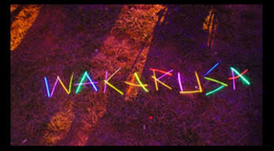 06/04/11 Wakarusa Tent, Ozark, AR 