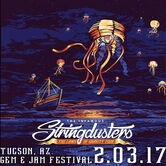 02/03/17 Gem and Jam Festival, Tucson, AZ 