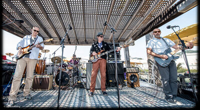 07/01/18 Terrapin Crossroads, San Rafael, CA 