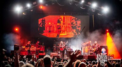 01/27/19 Panic en la Playa Ocho, Riviera Maya, MEX 