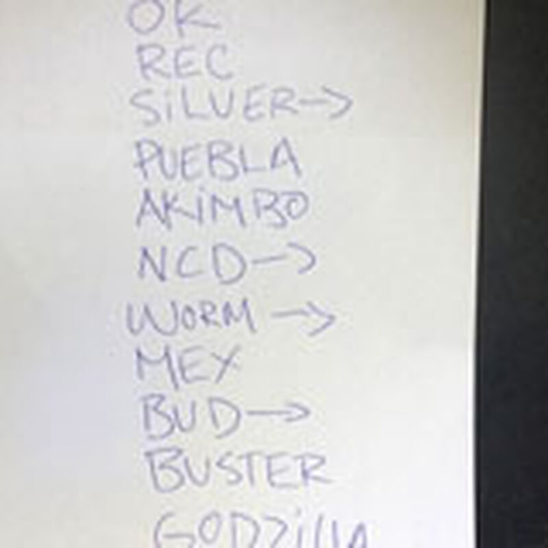 04/11/14 Wanee Festival, Live Oak, FL 