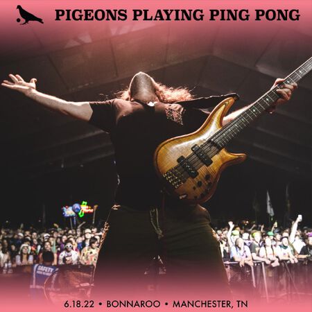 06/18/22 Bonnaroo Music & Arts Festival, Manchester, TN 