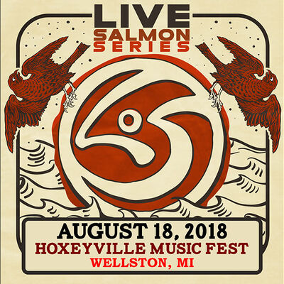 08/18/18 Hoxeyville Music Festival, Wellston, MI 