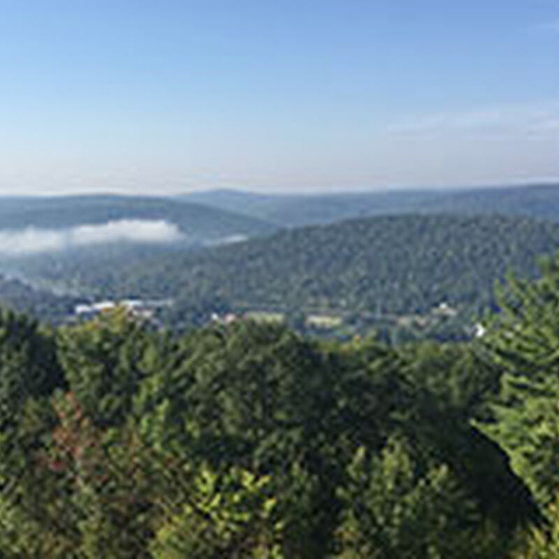 09/19/15 Catskill Chill Music Festival, Hancock, NY 