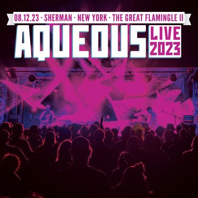08/12/23 The Great Flamingle II, Sherman, NY 