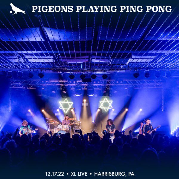 Pigeons Playing Ping Pong