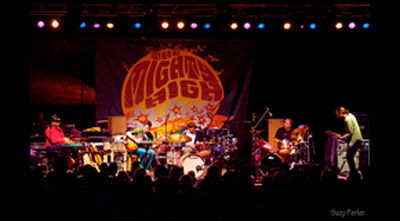 05/21/11 Mighty High Mountain Fest, Tuxedo Park, NY 
