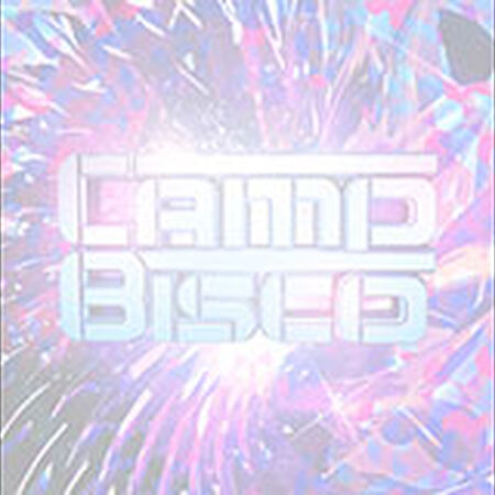 Camp Bisco 13