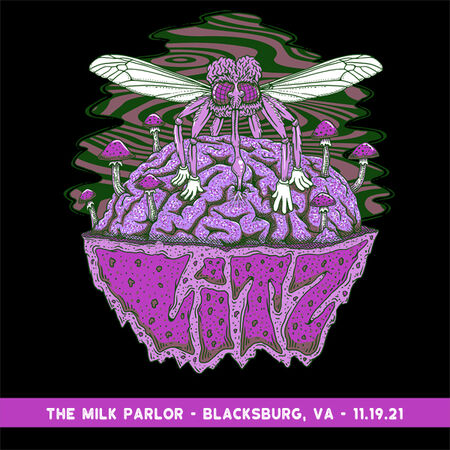 11/19/21 The Milk Parlor, Blacksburg, VA 