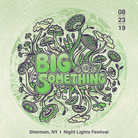 08/23/19 Night Lights Music Festival, Sherman, NY 