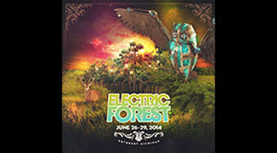 06/27/14 Electric Forest, Rothbury, MI 