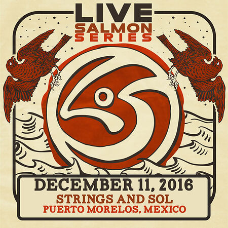 12/11/16 Strings and Sol, Puerto Morelos, MX 