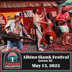 Hall of Posters - Albino Skunk Music Festival