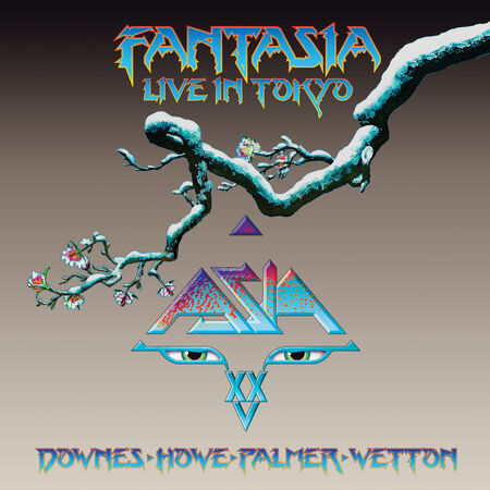 03/08/07 Fantasia: Live in Tokyo, Tokyo, Japan 