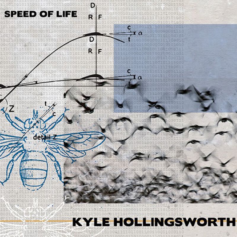 Speed Of Life