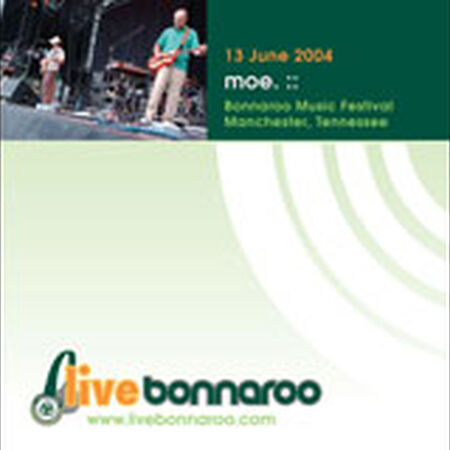 06/13/04 What Stage, Bonnaroo, TN 