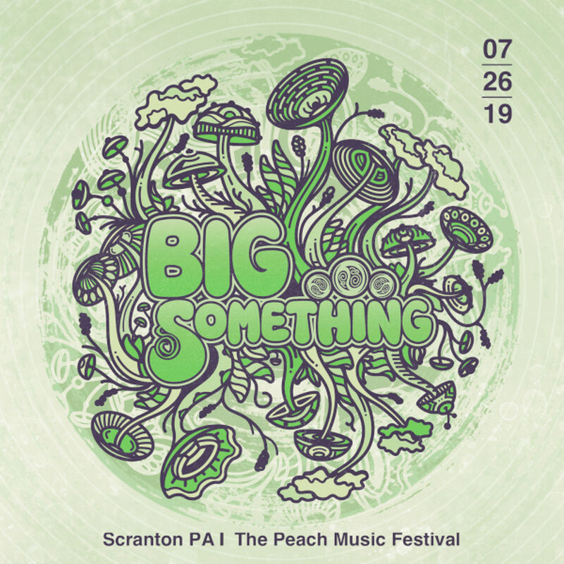07/26/19 The Peach Music Festival, Scranton, PA 