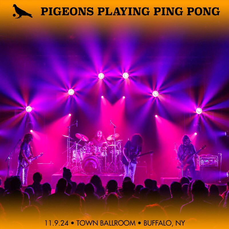 Pigeons Playing Ping Pong
