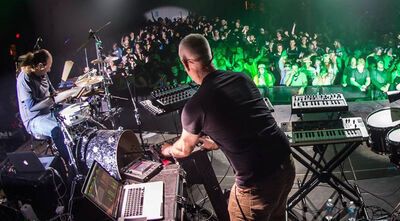11/13/15 Trees, Dallas, TX 