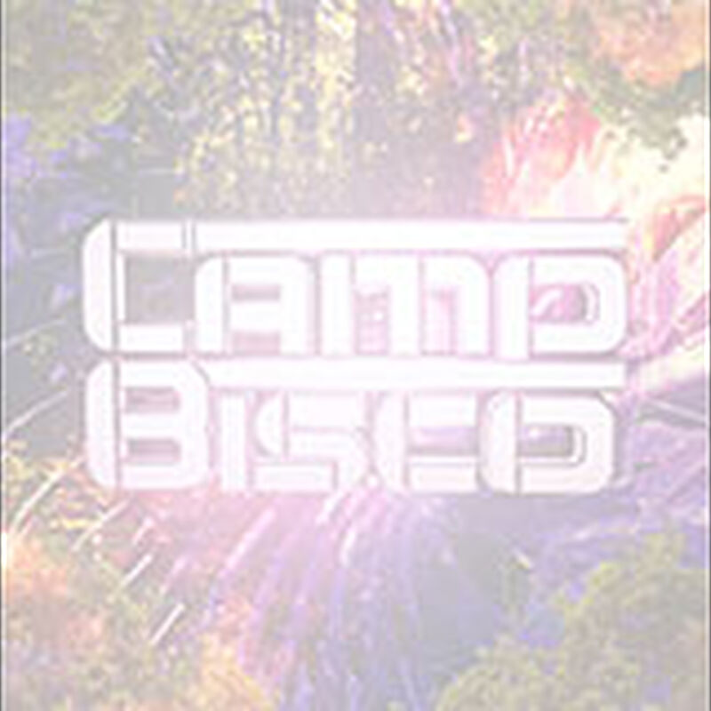07/18/15 Camp Bisco 13, Scranton, PA 