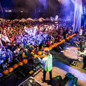 Hangtown Ball 2014