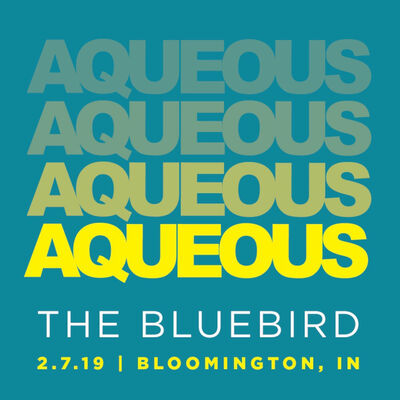 02/07/19 The Bluebird, Bloomington, IN 