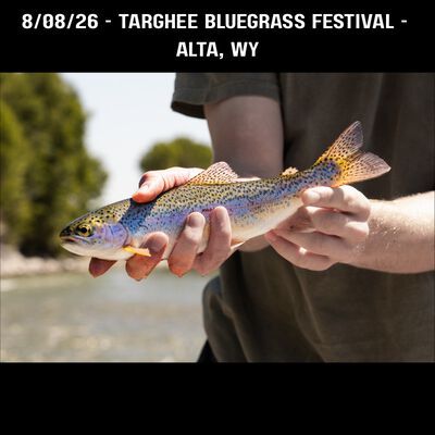 08/08/26 Targee Bluegrass Festival, Alta, WY 