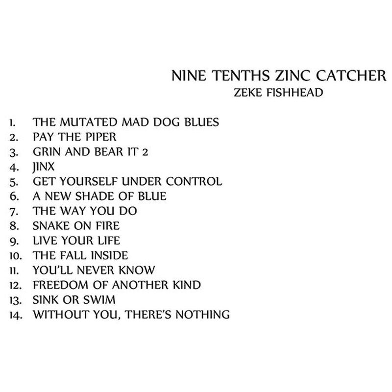 Nine Tenths Zinc Catcher
