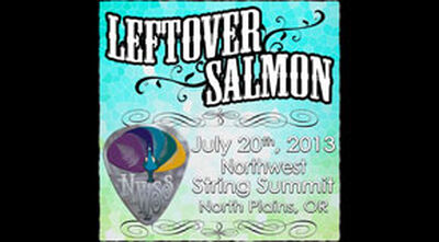 07/20/13 Northwest String Summit, North Plains, OR 