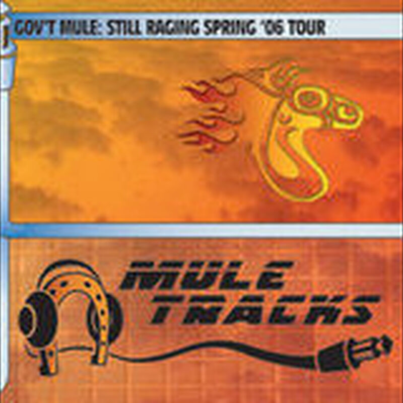 04/14/06 Wanee Festival, Live Oak, FL 