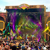 Electric Forest 2014
