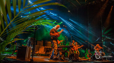12/11/16 Strings and Sol, Puerto Morelos, MX 