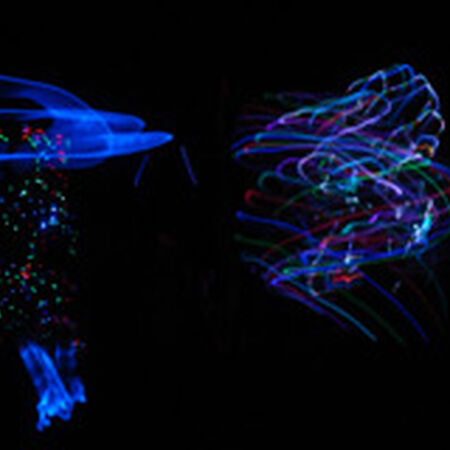07/18/09 Camp Bisco, Mariahville, NY 