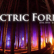 SCI Electric Forest 2011