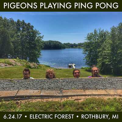 06/24/17 Electric Forest, Rothbury, MI 