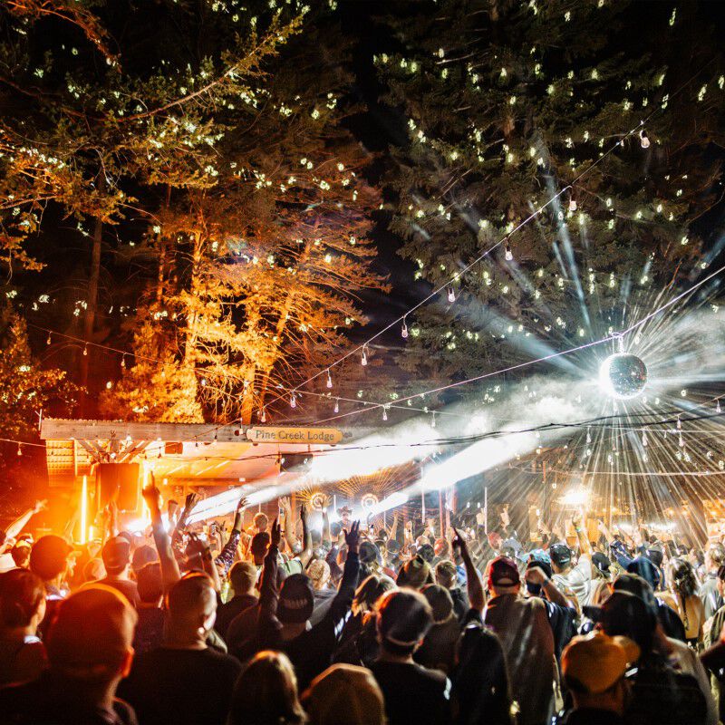 The Disco Biscuits