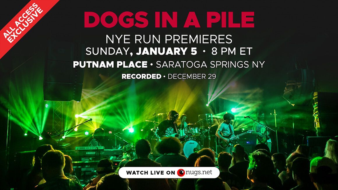 Dogs In A Pile