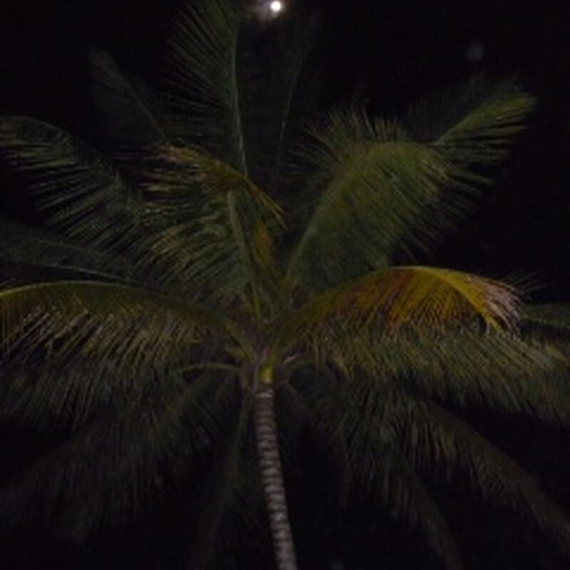 12/12/08 Caribbean Holidaze, Runaway Bay, JAM 