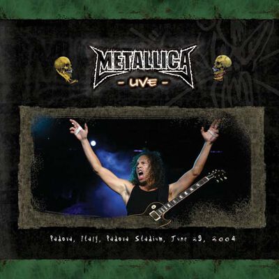 06/29/04 Stadio Euganeo, Padova, ITA 