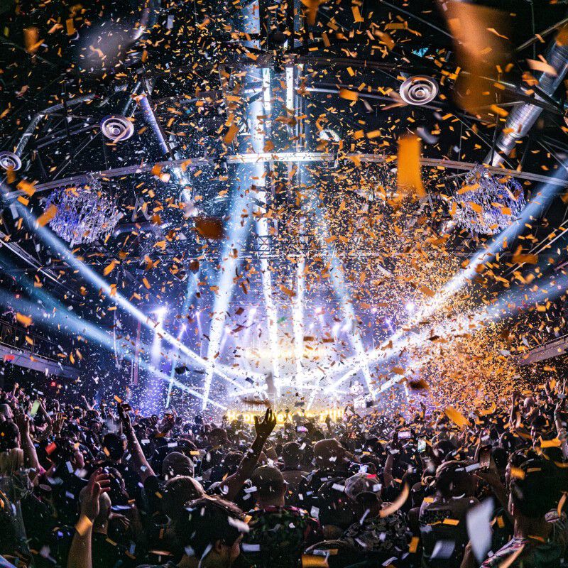 The Disco Biscuits