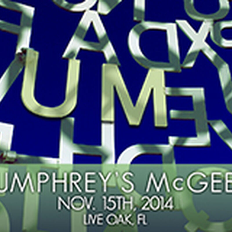 11/15/14 Bear Creek Music & Art Festival, Live Oak, FL 