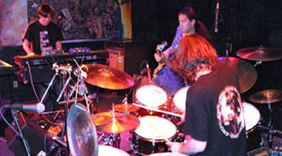 Spring 2004 Highlights