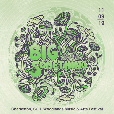 11/09/19 Woodlands Music & Arts Festival, Charleston, SC 