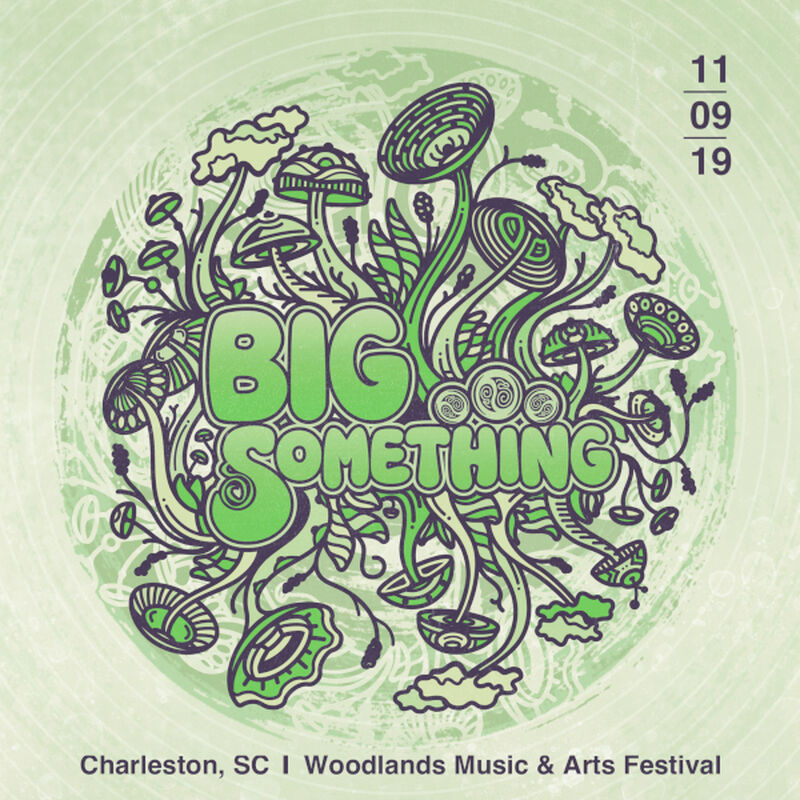 11/09/19 Woodlands Music & Arts Festival, Charleston, SC 