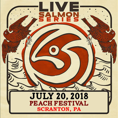 07/20/18 Peach Music Festival, Scranton, PA 