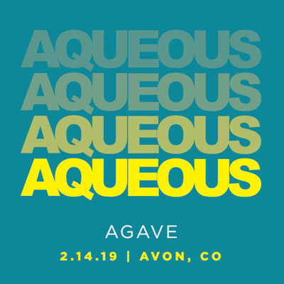 02/14/19 Agave, Avon, CO 