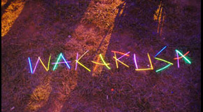 06/02/11 Wakarusa Festival, Ozark, AR 